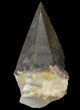 Dogtooth Calcite Crystal - Morocco #96838-1